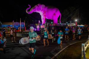 BIB: 
                            <button type="button" onclick="openModal(26552347)" class="btn btn-primary btn-sm float-right btn-popup" data-toggle="modal" data-target=".modal-high-quality">
                        <i class="fas fa-shopping-cart"></i> Add to Cart
                    </button>
                                            <button type="button" onclick="isThisMe(26552347, true)" class="btn btn-success btn-sm float-right btn-popup btn-isme hidden" data-toggle="tooltip" data-placement="bottom" title="นี่คือรูปของคุณใช่ไหม คลิกที่นี่เพื่อเอาเข้าอัลบั้ม">
                        <i class="fas fa-plus"></i> Add to album
                    </button>
                    <button type="button" onclick="isThisMe(26552347, false)" class="btn btn-warning btn-sm float-right btn-popup btn-isnotme hidden">
                        <i class="fas fa-ban"></i> Remove from album
                    </button>